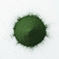 Spirulina gemahlen 25 g – Natürliches Superfood für Garnelen, Schnecken & Zierfische