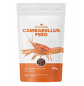 Cambarellusfeed