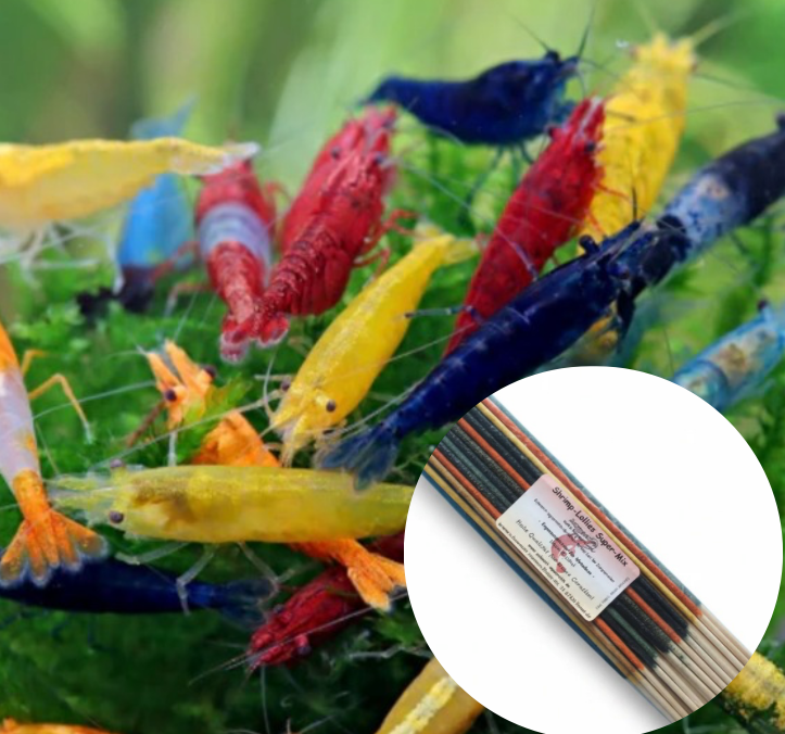 Garnelen Mix 10 Stück + Shrimp-Lollies Super-Mix (11 Stück)