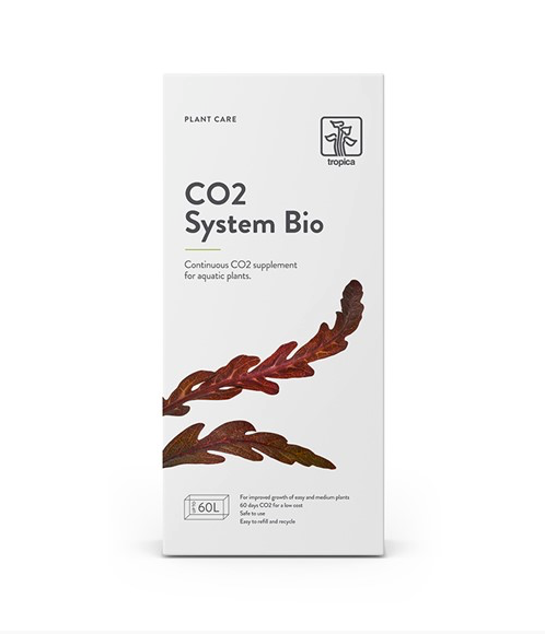 CO2 System Bio