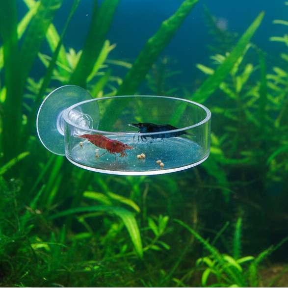 Futternapf fürs Aquarium