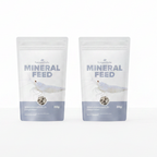 NatureHolic Mineralfeed Garnelenfutter Sparbundle - 2 St.