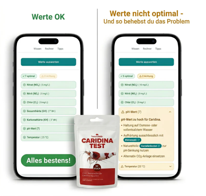 NatureHolic Caridina Test Kit – Wassertest für Weichwasser-Garnelen inkl. App-Auswertung