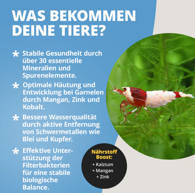 NatureHolic ToxEx Balls - Wasseraufbereiter - 60g