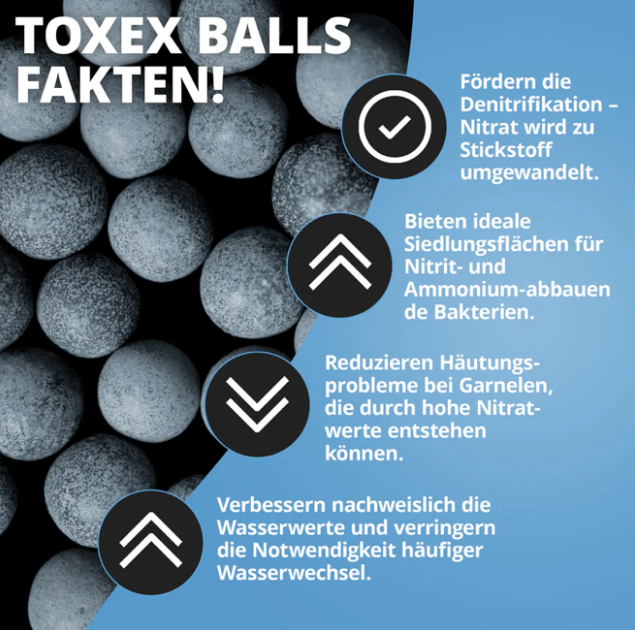 NatureHolic Wasseraufbereiter Kit - giftfreies Aquarium - 2-1 Lösung für kristallklares Wasser