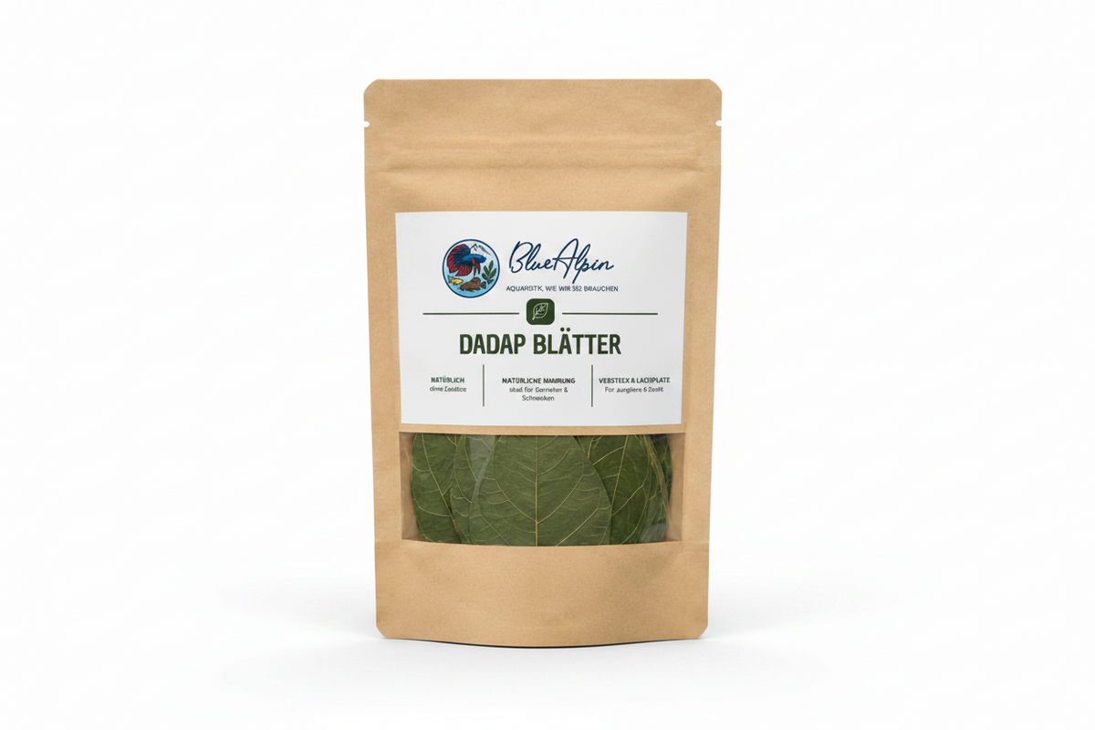 Dadap-Blätter 10Stk