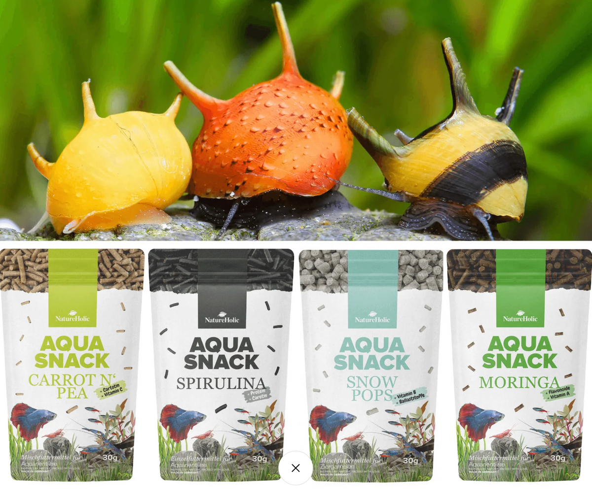 Snackbundle für Schnecken - Carrot'n Pea - Moringa - Spirulina - Snow Pops