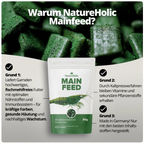 NatureHolic - Mainfeed Garnelenfutter - 30g