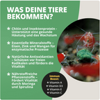 NatureHolic - Mainfeed Garnelenfutter - 30g