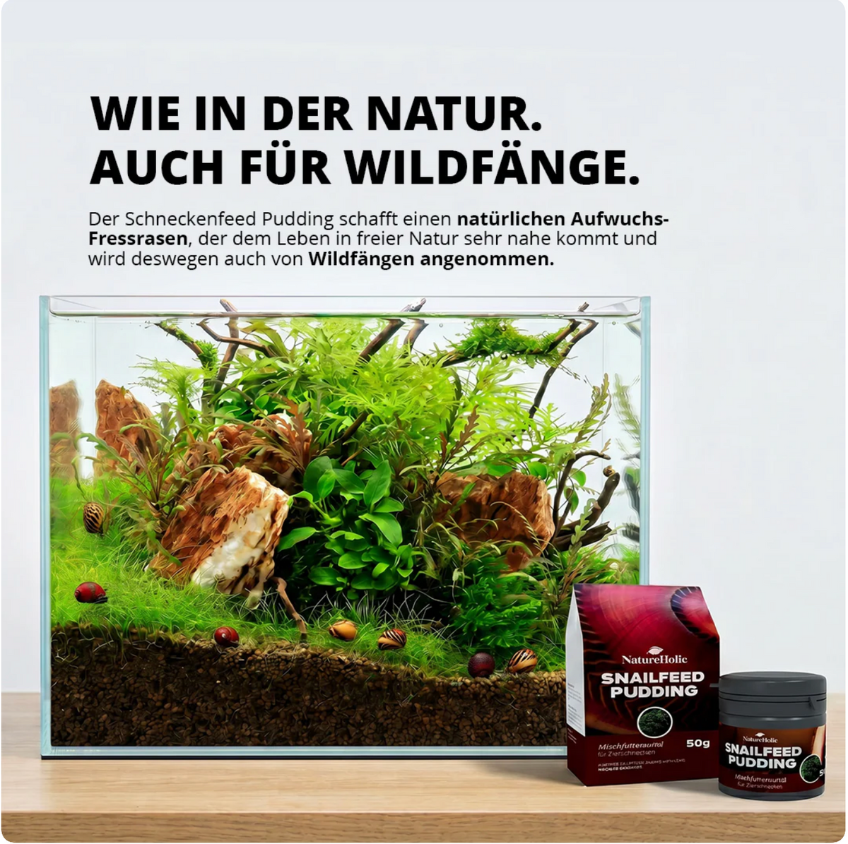 NatureHolic - Schneckenfeed Pudding - 50g Snailfeed Pudding