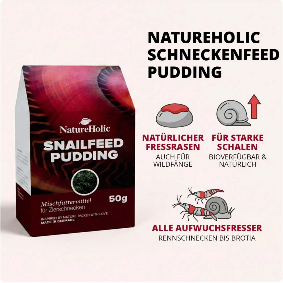 NatureHolic - Schneckenfeed Pudding - 50g Snailfeed Pudding