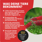 Proteinfeed Probepackung