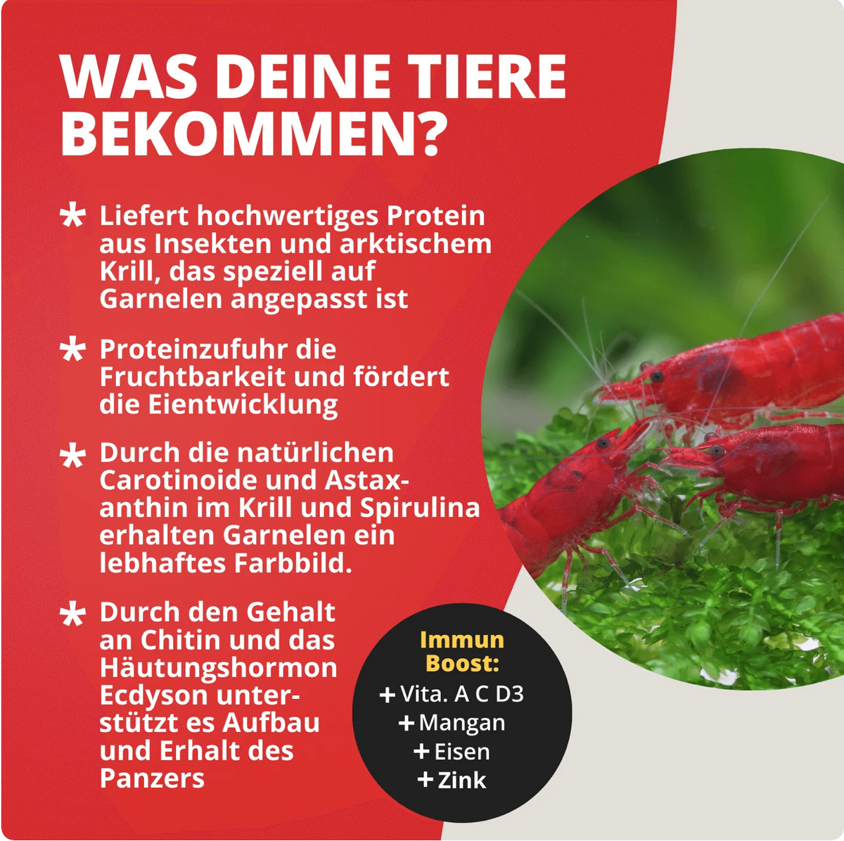 Proteinfeed Probepackung