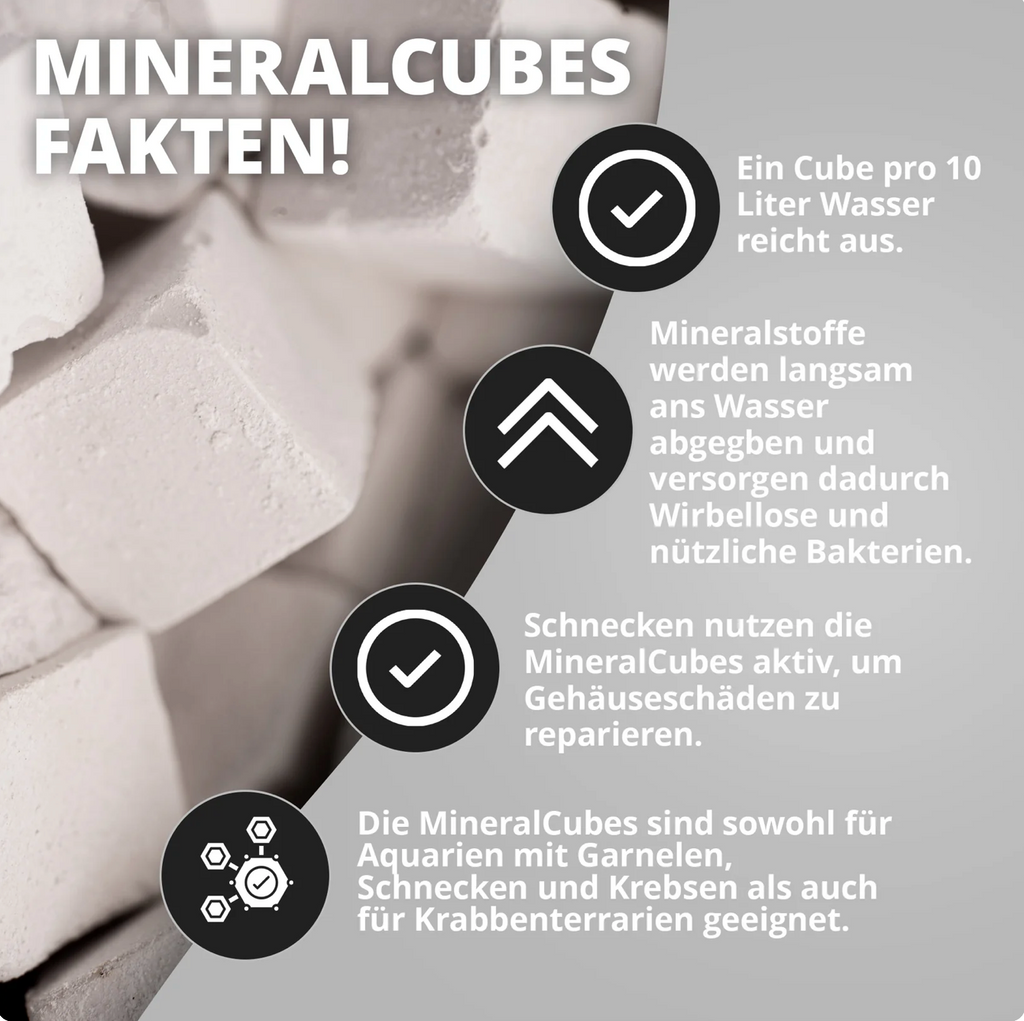 NatureHolic - MineralCube - Pure Mineral - 47ml
