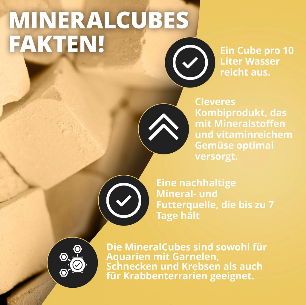 NatureHolic - MineralCube - Vitamine Power - 47ml - Mineralversorgung + Ferienfutter