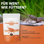 Cambarellusfeed
