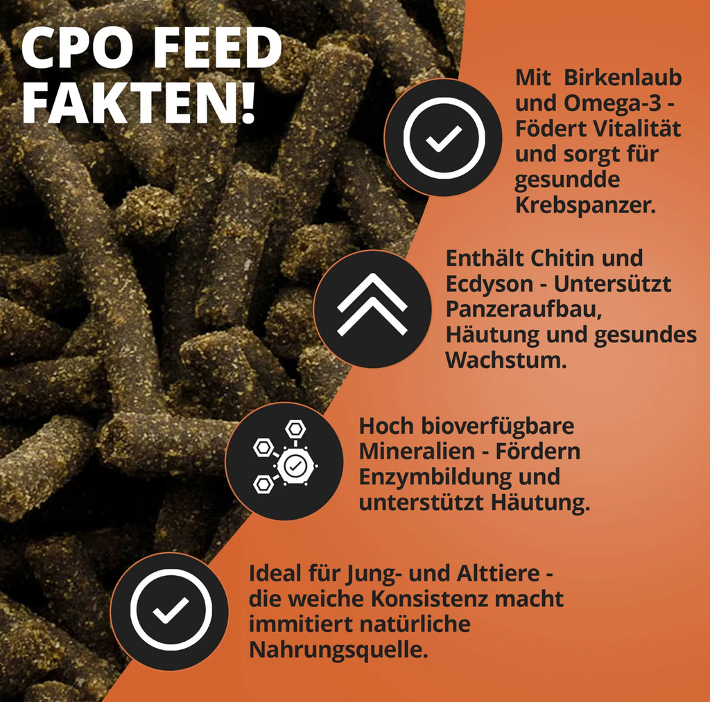 Cambarellusfeed