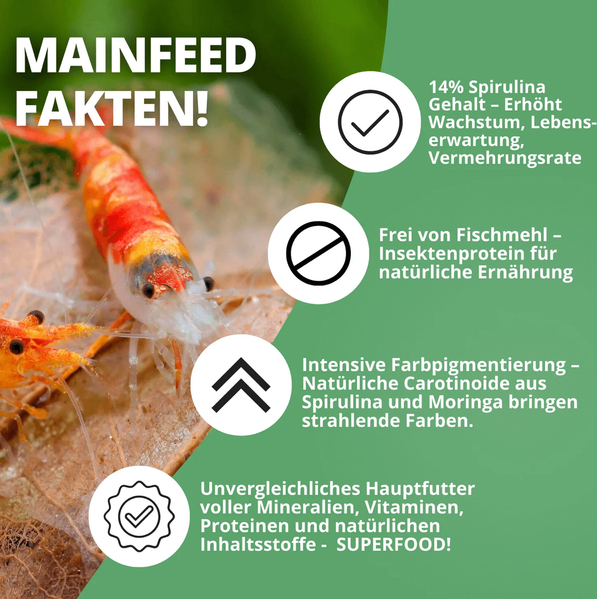 NatureHolic Mainfeed Garnelenfutter - 3 für 2