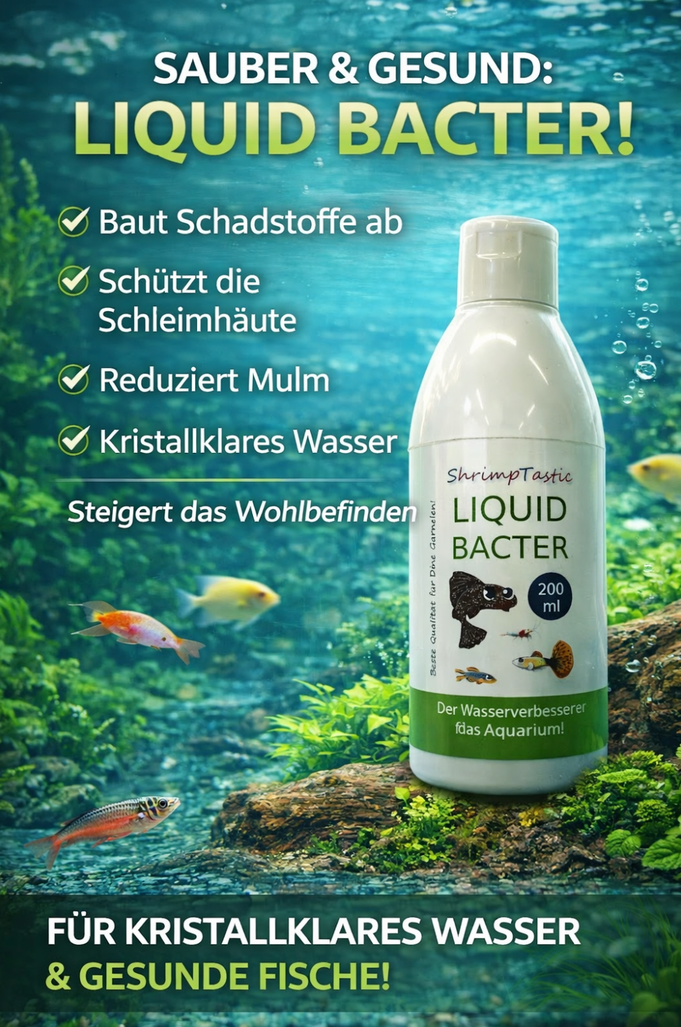 Liquid Bacter - der Wasserverbesserer für das Aquarium