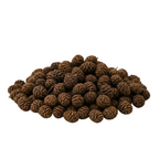 Erlenzapfen (10 g) – Naturprodukt für Aquarium