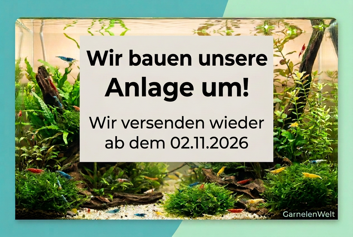 Umbauankündigung mit Text am unteren Bildrand